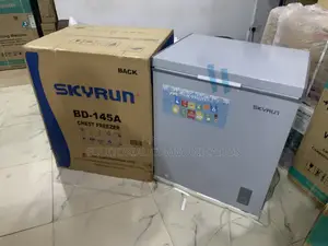 Skyrun Bd-145a Deep Freezer for Small Businesses