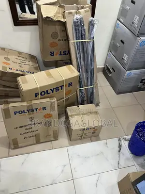 Polystar 18 Inch Standing Fan Offering Practical Ventilation [Pv-18ndb