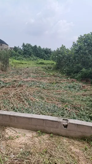30/120 Half Plot, Igboagbowa, Off Oluodo, Ibeshe Ikorodu