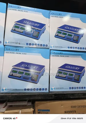 Gammry 40kg Digital Scale