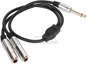 3.5mm Mono Male to Dual 3.5mm Female Y-Splitter Cable