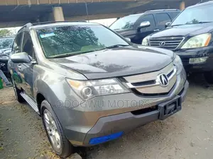 Acura MDX 2009 Gray