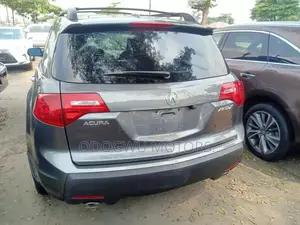 Acura MDX 2009 Gray