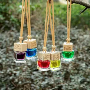 Hanging Aroma Therapy Diffuser for Car and Home
