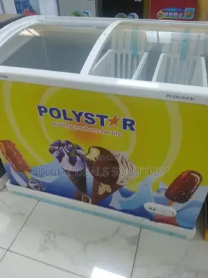 Elegance Meets Performance: 303l Transparent Lid Freezer