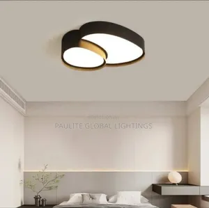 New Designed Luxury Ceiling Fittings Light