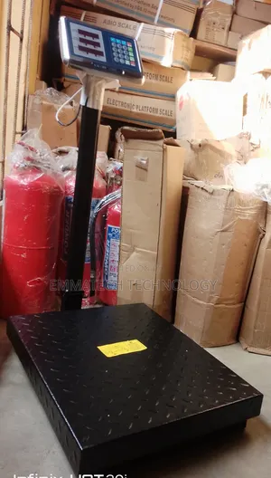 300kg Camry Digital Scale