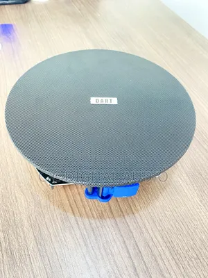 Frameless Ceiling Speaker