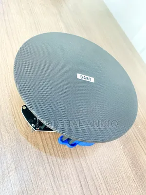 Black Ceiling Speaker
