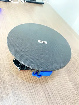 Black Frameless Ceiling Speaker