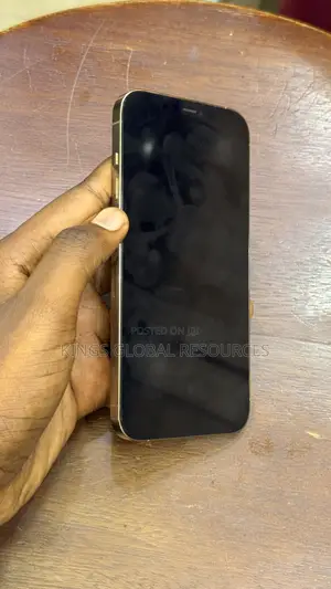 Apple iPhone 12 Pro Max 256 GB Gold