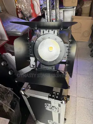Cob Light 100w White and Warm White