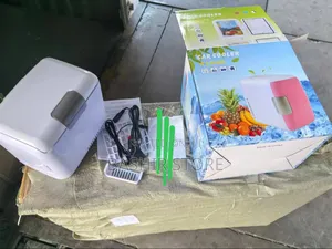 Portable Mini Car Fridge
