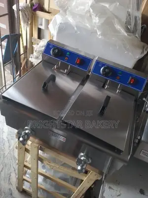 13 Litters Electric Fryer