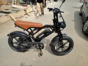 Electric Bike