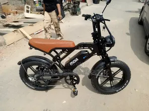 Electric Bike