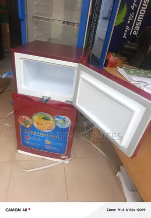 Mini 90l Double Door Refrigerator Polystar Pv-Dd203r6rl