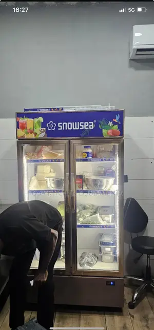Snowsea Double Door Chiller
