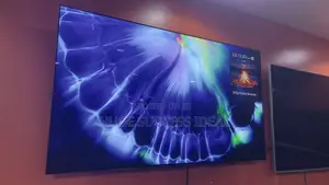 Lg Oled Evo 55 Inch C5 Series Smart 4k Ultra Hd Hdr Tv 2025 Edition