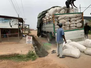 Agricultural Feeds Materials Available In Tonnage.