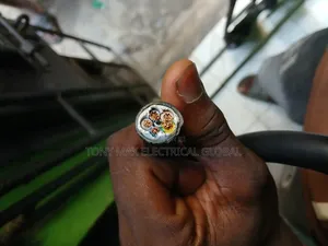 6mm 5core PVC PVC Electric Cable Nigerchin