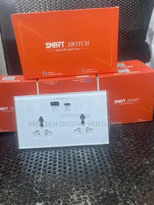 Double Smart Socket Switch With Tuya Alexa and Goole