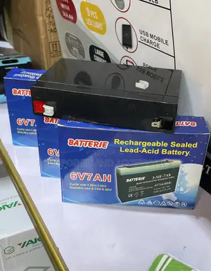 6v 7ahs Battery