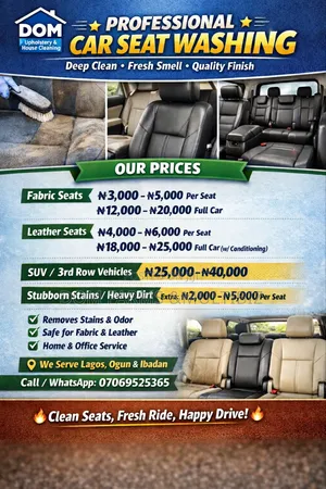Professional Car Seat Cleaning
