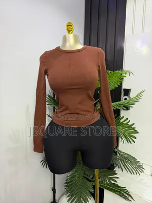 Ladies Basic Long Sleeve Top, Available in Colours. Size 8 - 16
