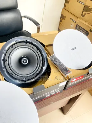 Tundra Bluetooth 2in1 Ceiling Speaker With Remote