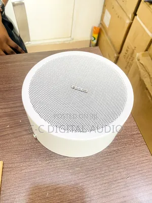 Surface Speaker