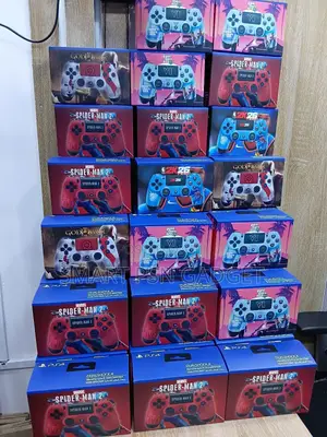 Ps4 Pad Customised in Game Graphics