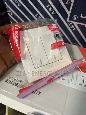 2 Gang Switch