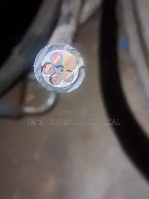 2.5mm 5core Single Strands PVC/Pvc,Nigerchin
