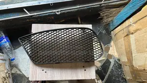 Fog Lamp Net Gla 250