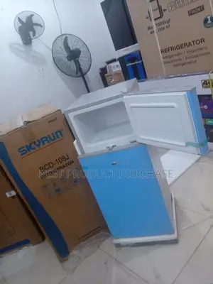 Get the Skyrun 108l Double Door at Wholesale Price