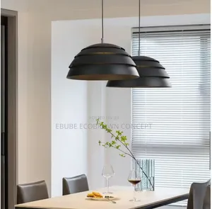 Modern Design Flush Ceiling Fitting Pendant Light for Modern Homes
