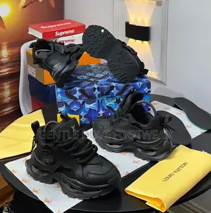 Pioneer Louis Vuitton Sneakers