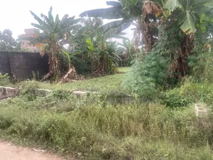 Plot for Sale