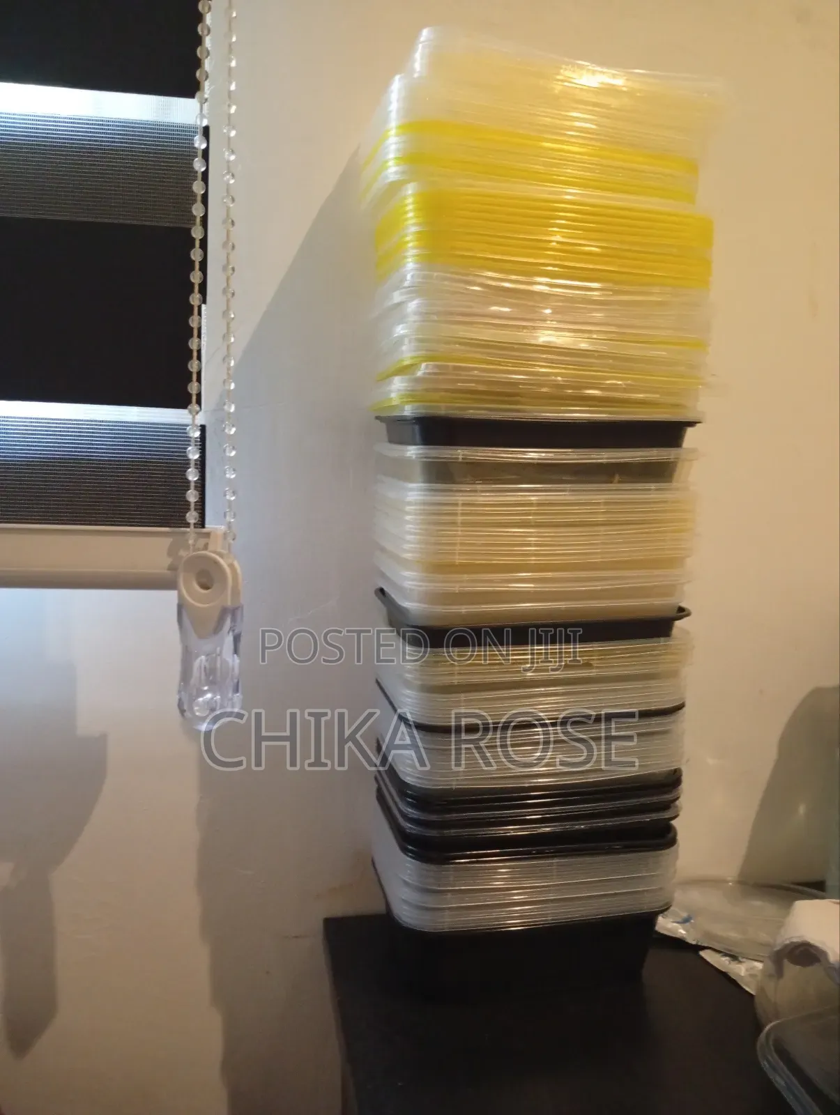 300 Take Away Plastic Plates