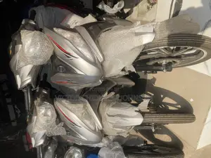New Denstar Taurus 2026 Silver