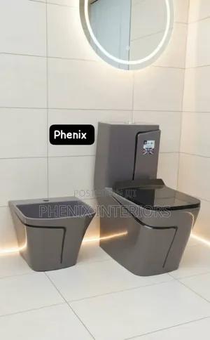 Coloured Executive Toilet Water Closet With Wall Hung Basin.