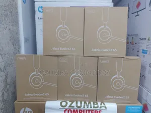 Jabra Evolve 2 65 Wireless Headset