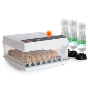 10 Eggs Incubator With Inbuilt Inverter
