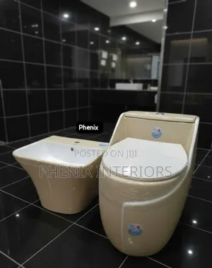 Conjoined Seat and Tank Water Closet With Wall Hung Basin