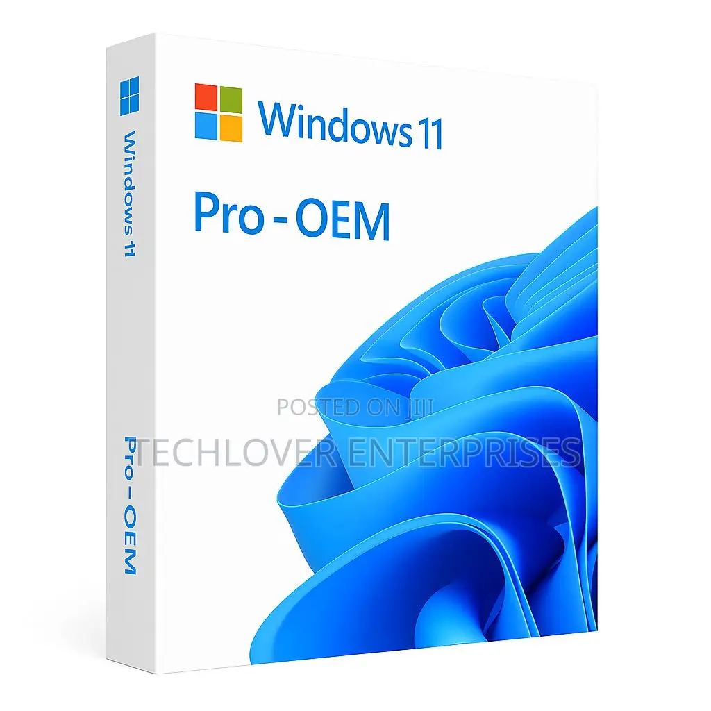 Windows 11 Professional 1 Pc Oem