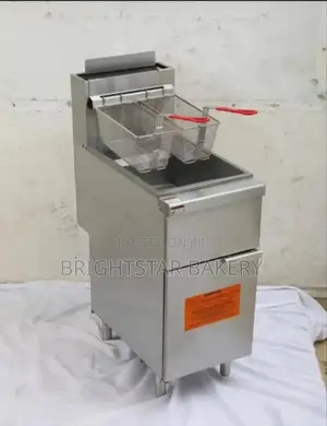 Standing Deep Fryer 25 Litters With Tap