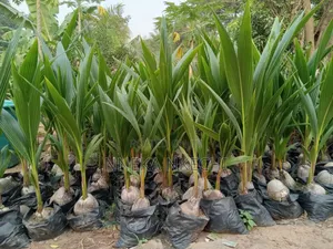 Welcome to Smooth Farms Where Hybrid Economic Plants Are Raised.