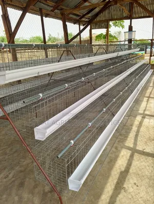 Poultry Cage for Layers