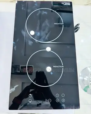 In-Built Induction Double Electric Cooker